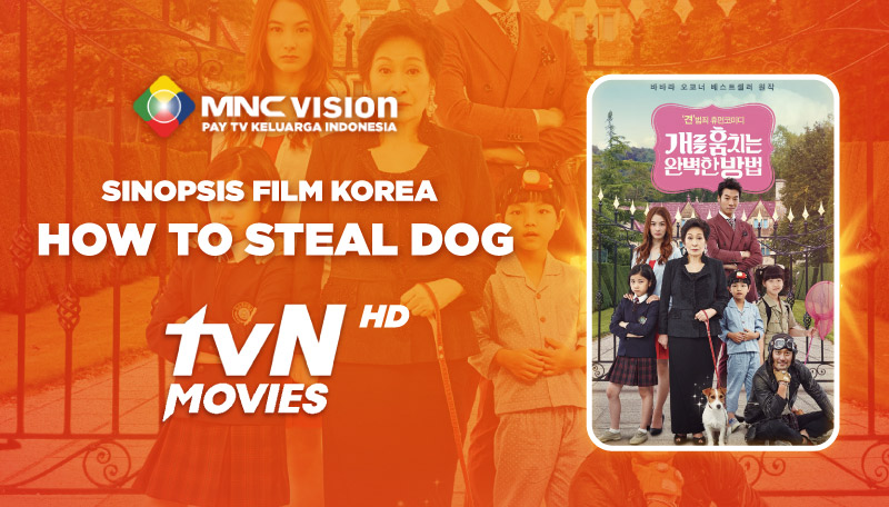 SINOPSIS FILM KOREA HOW TO STEAL DOG